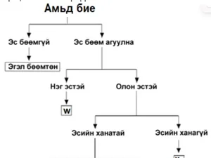 Амьд биеийн ангилал