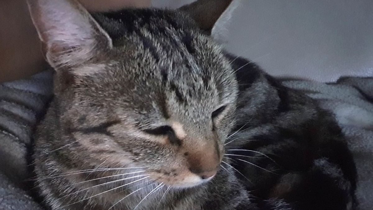 background presentation