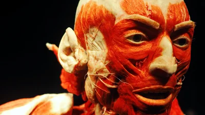 background presentation