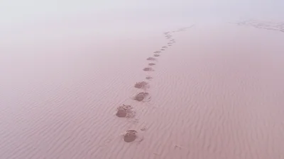 background presentation