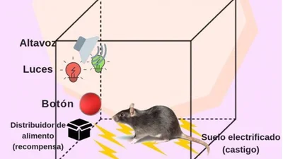 background presentation