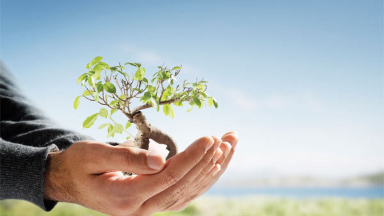 background presentation