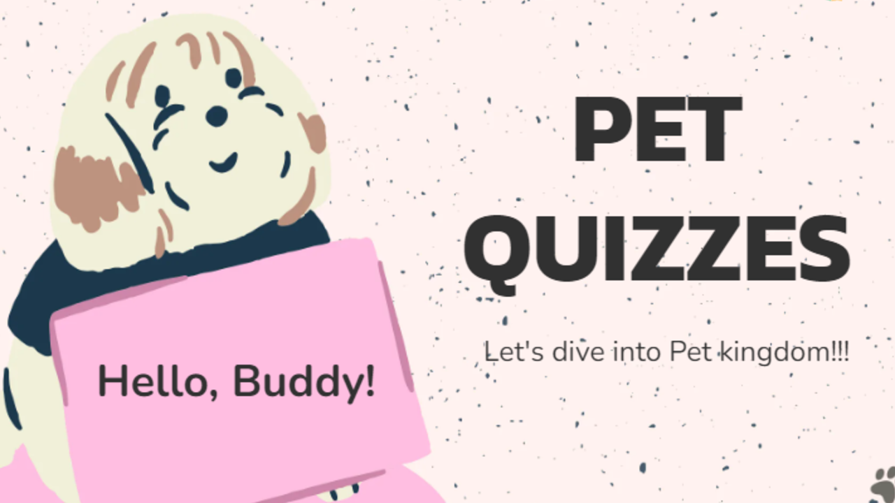 background presentation