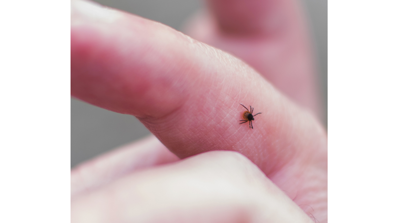 background presentation