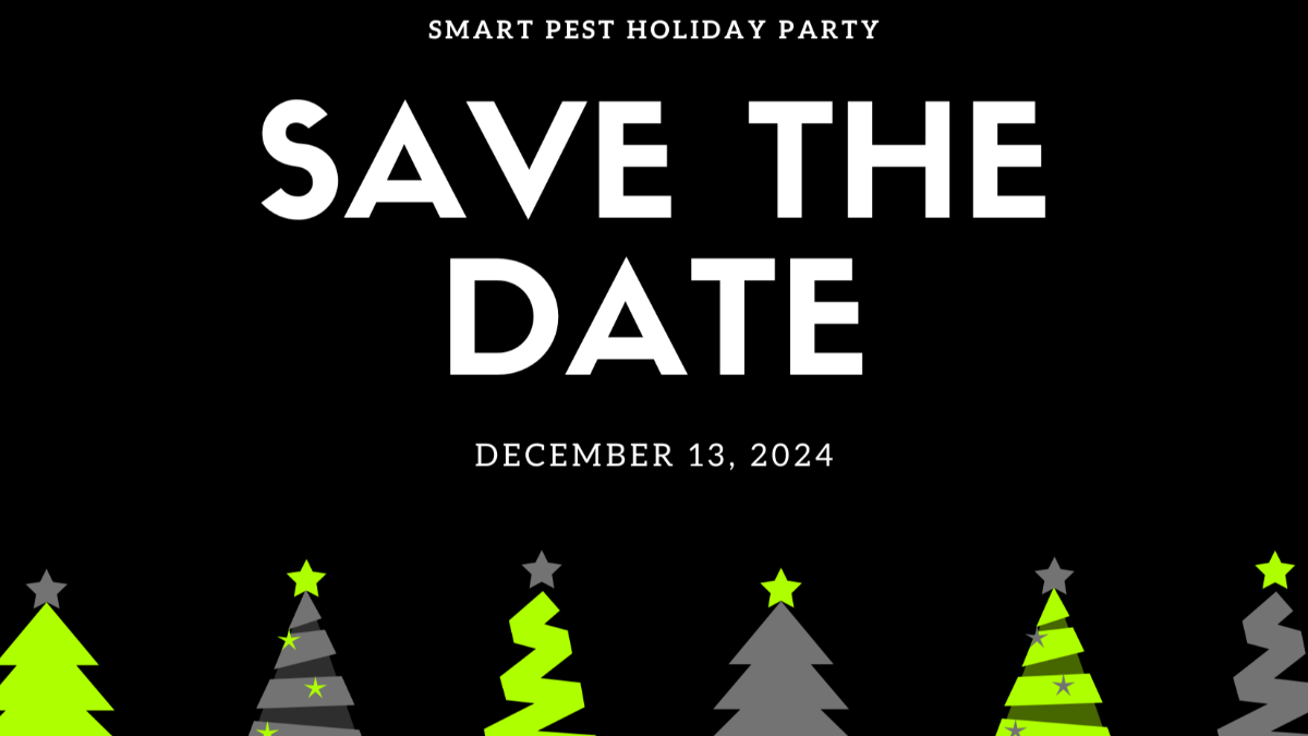 background presentation