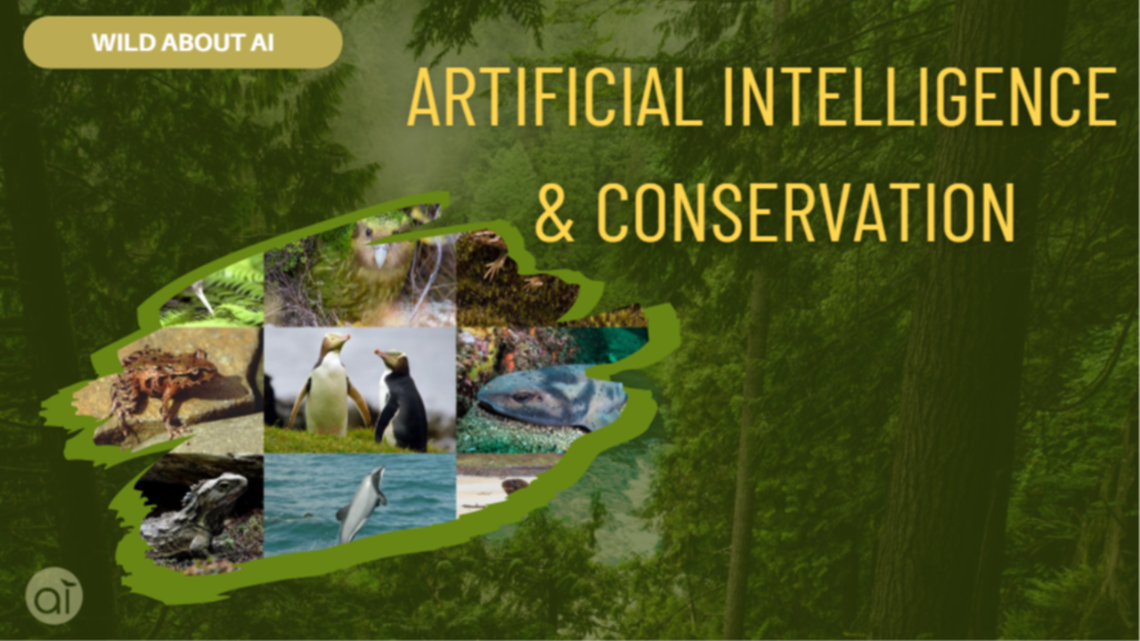 background presentation