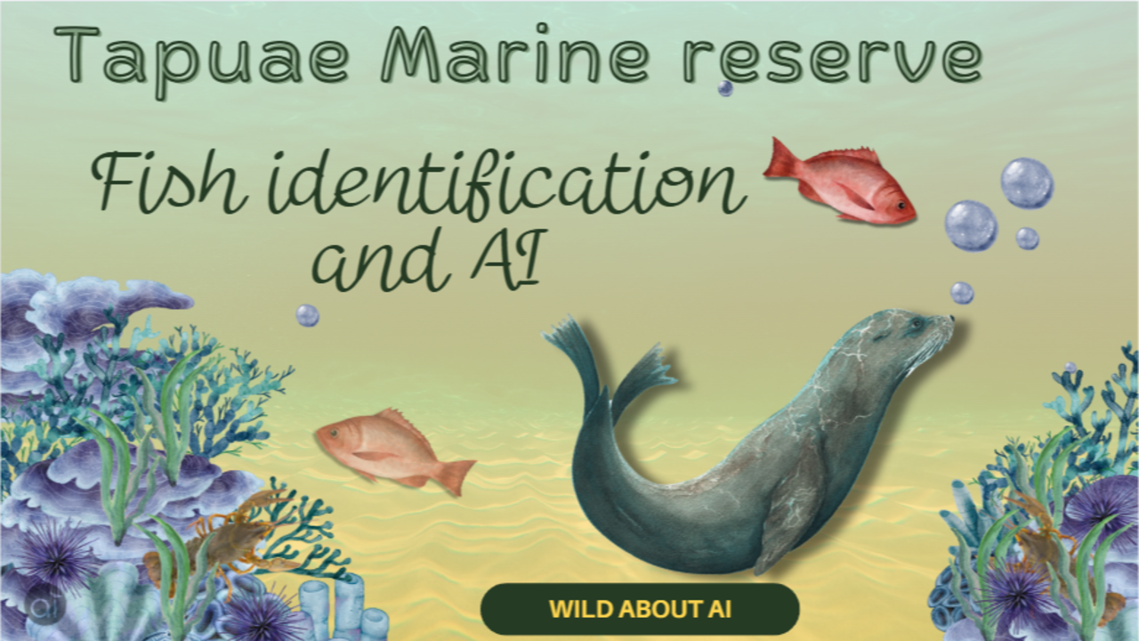 background presentation