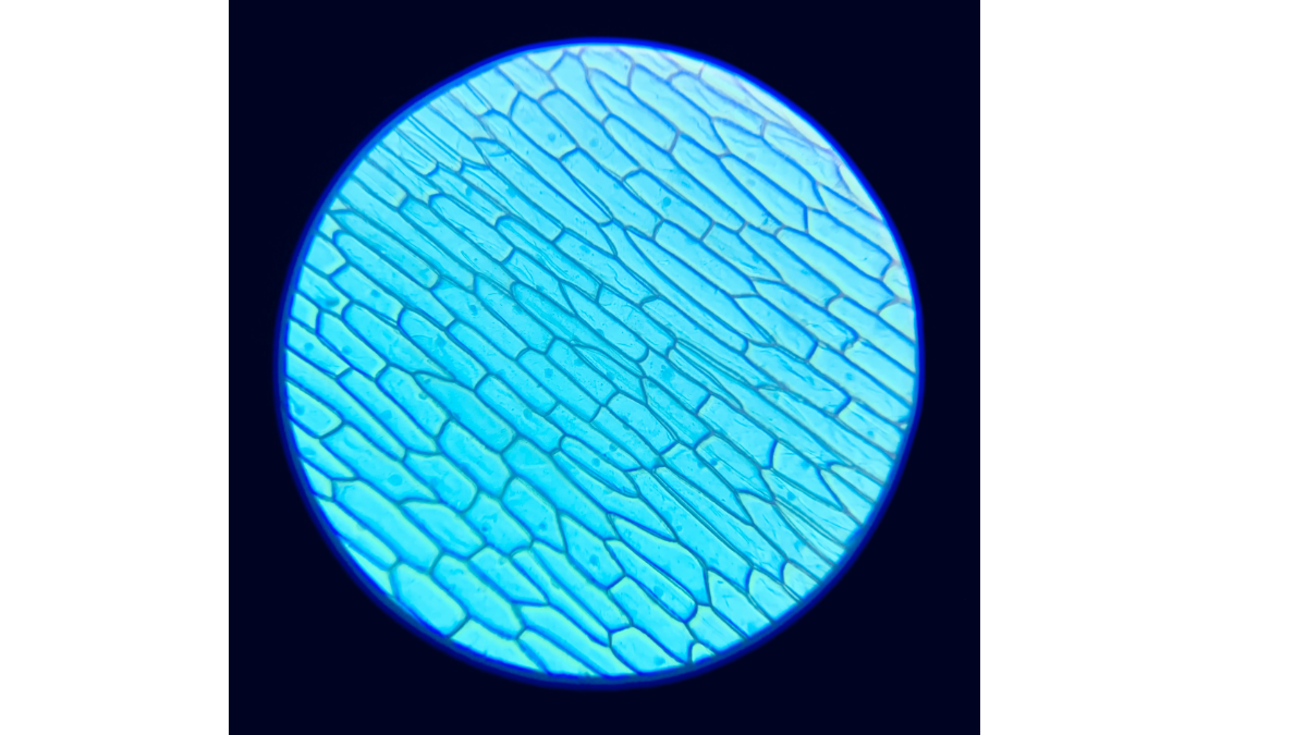 background presentation