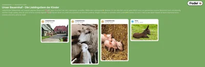 background presentation