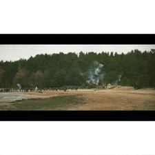 Какие растения растут в лесу?