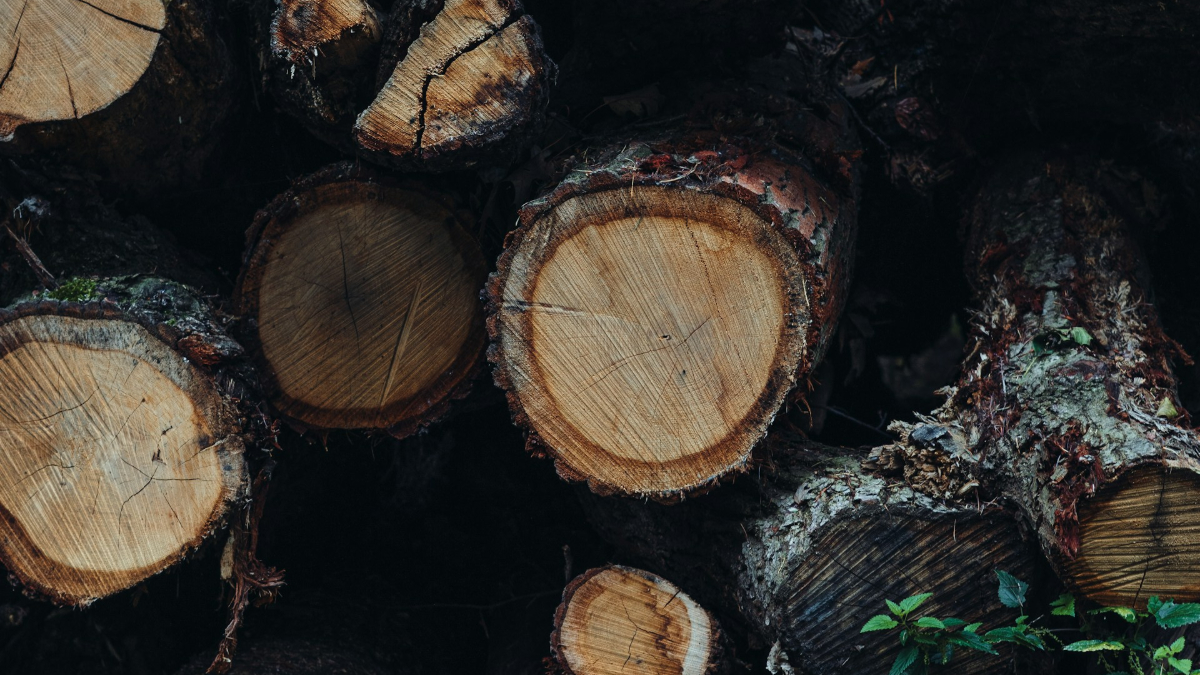 background presentation