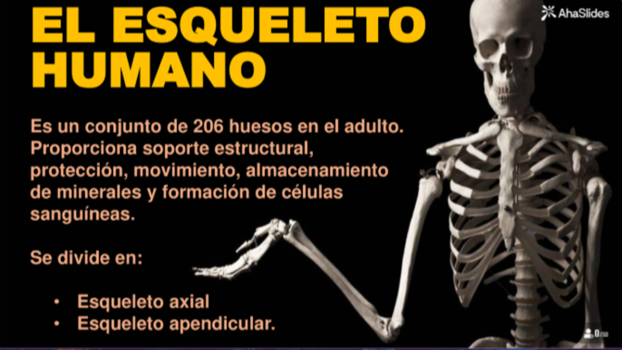 background presentation