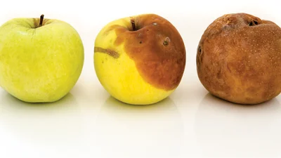 background presentation